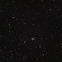 m81