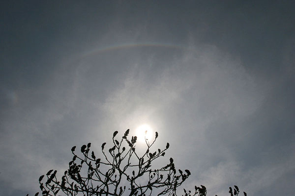 upper tangent arc and sundog