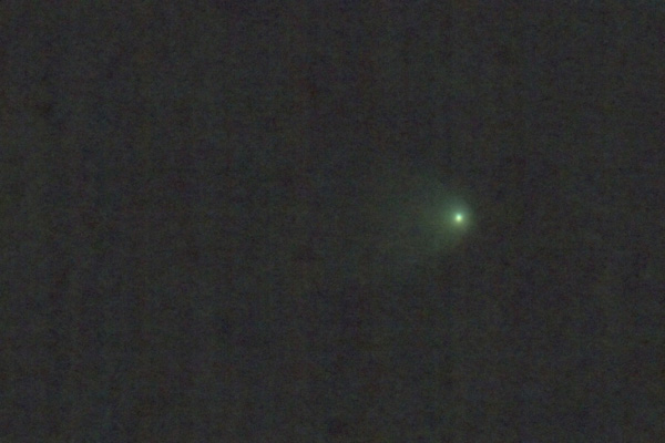 mcnaught