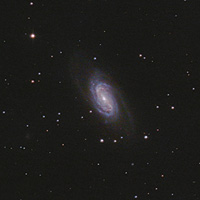 ngc2903