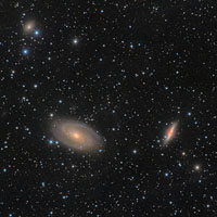 m81 group